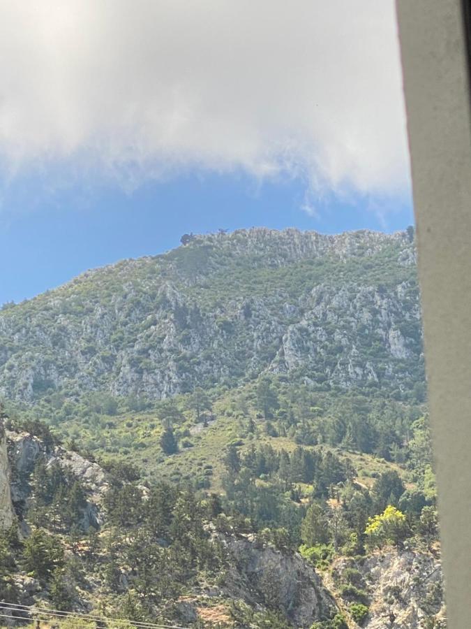 Chardonnay Guest Studio Rooms With Great View For Nature Lovers Kyrenia  Eksteriør billede